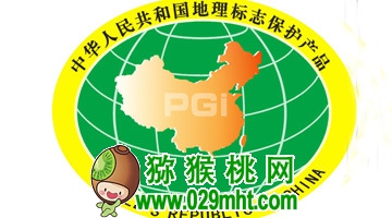 PG国际官方网站图片