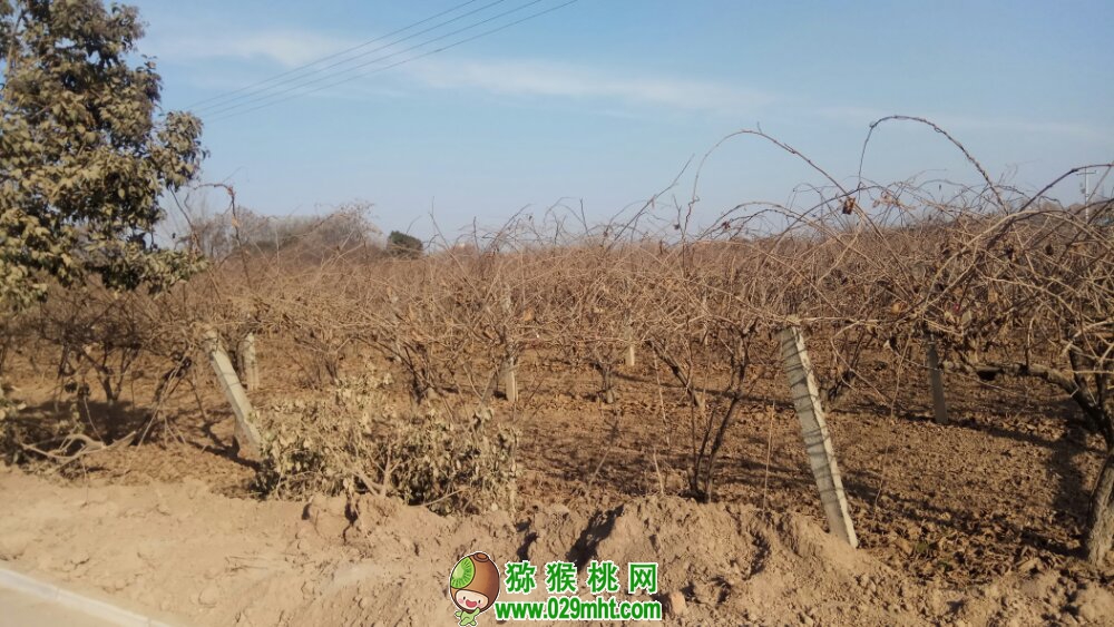 PG国际官方网站图片