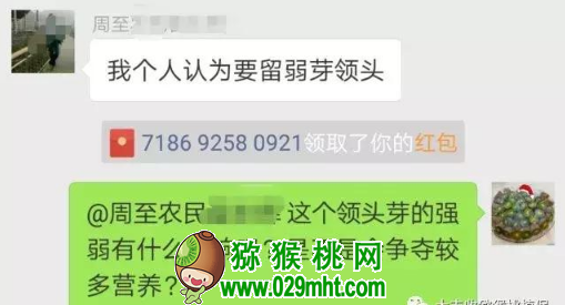 PG国际官方网站图片