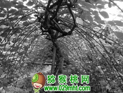 PG国际官方网站图片