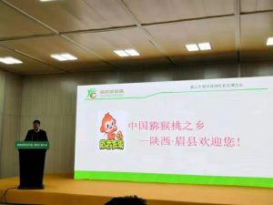 PG国际官方网站图片