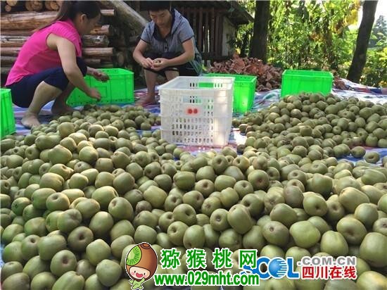 PG国际官方网站图片