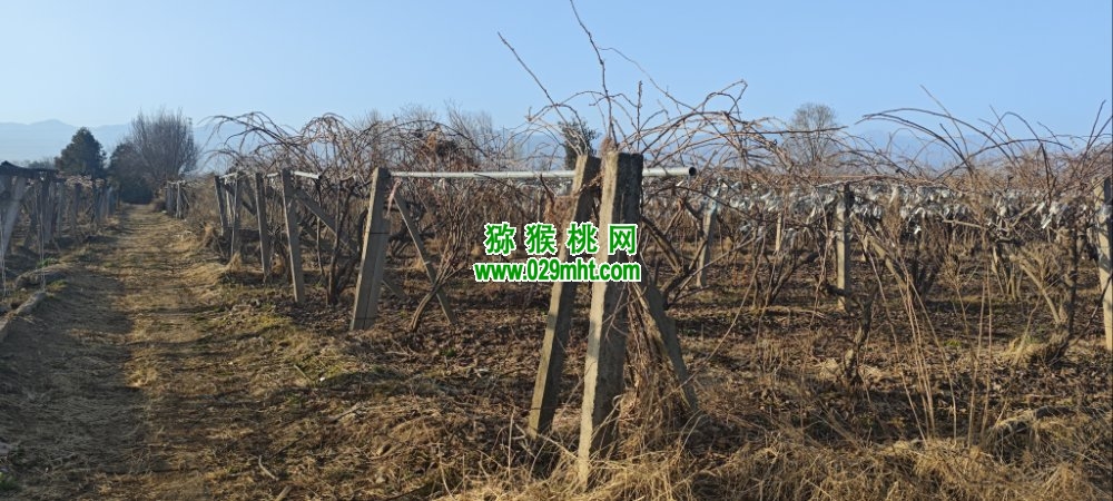 PG国际 75ef6