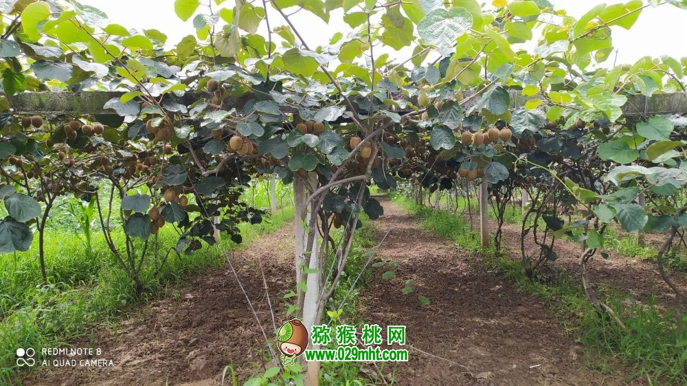 PG国际 11e22