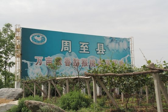 <a href=http://www.summer2018.cn/e/tags/index.php?tagname=%E4%B8%AD%E5%9B%BD%E7%8C%95%E7%8C%B4%E6%A1%83%E4%B9%8B%E4%B9%A1&page=0 target=_blank class=infotextkey />PG国际之乡</a>.jpg