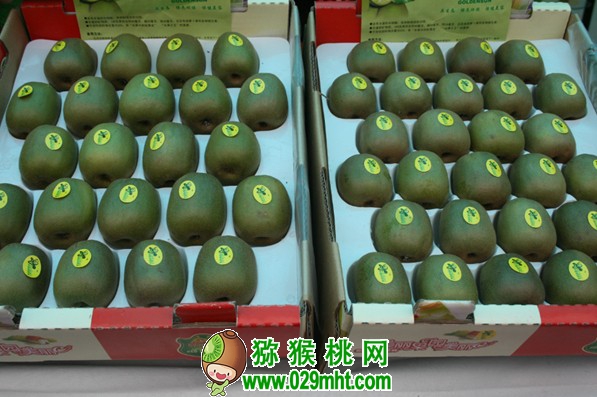 PG国际 4ba31
