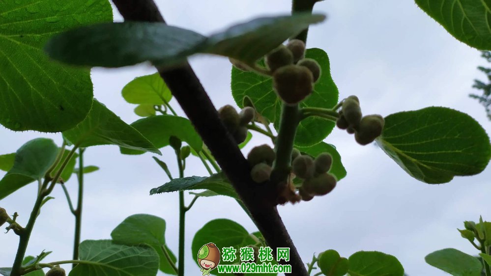PG国际 0f264
