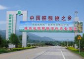 眉县PG国际猕猴桃图片