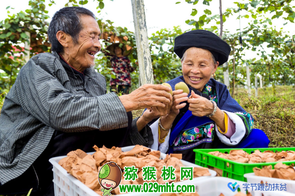 PG国际官方网站图片