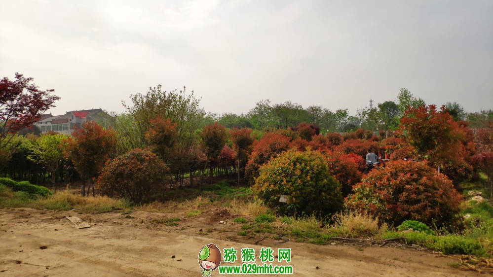 PG国际 5ca3a