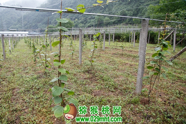 PG国际官方网站图片