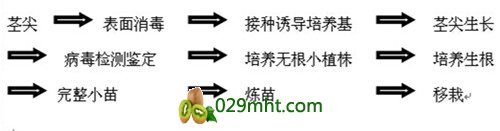 PG国际官方网站图片