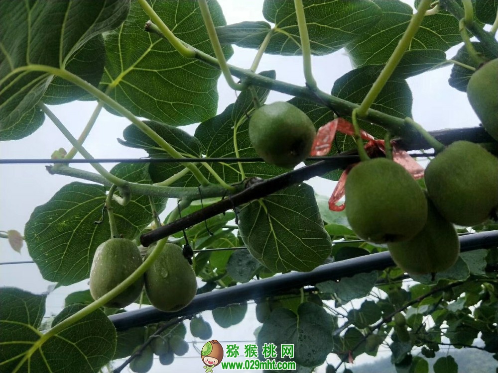 PG国际 9d6c3
