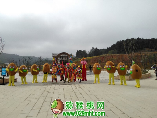 PG国际官方网站图片