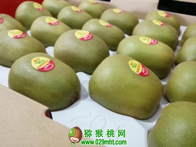 PG国际官方网站图片