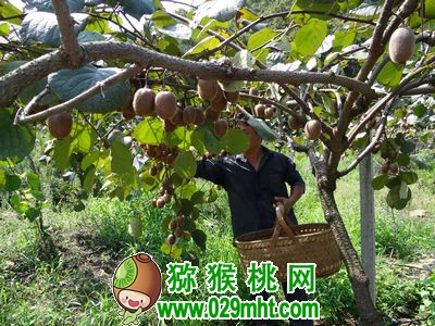 PG国际官方网站图片