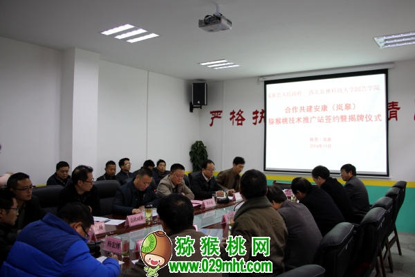 PG国际官方网站图片