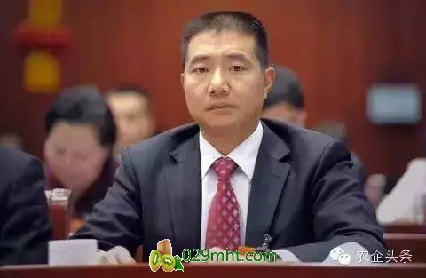 PG国际官方网站图片