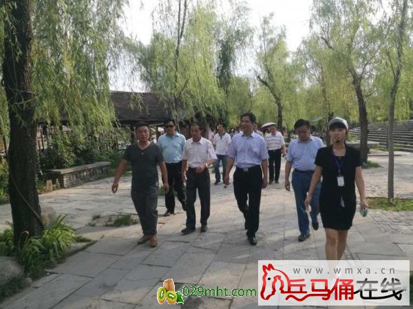 PG国际官方网站图片