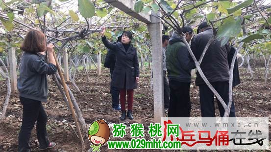 PG国际官方网站图片