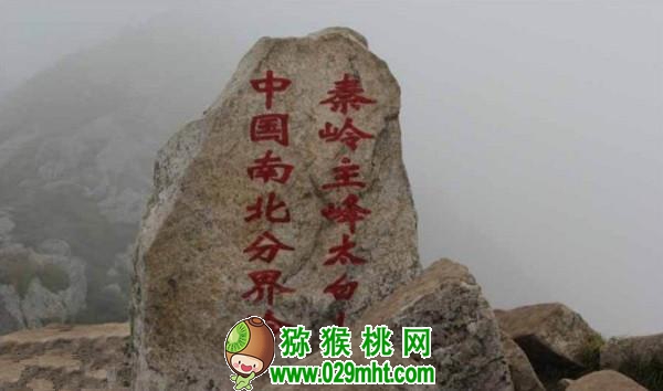 PG国际官方网站图片
