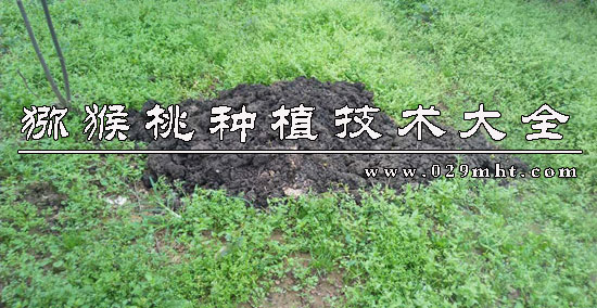 PG国际猕猴桃种植技术大全.jpg