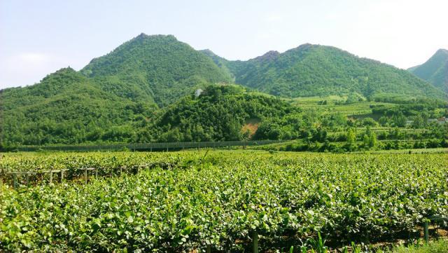 PG国际官方网站图片