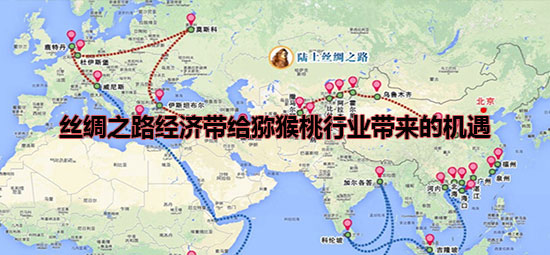 丝绸之路经济带给PG国际猕猴桃行业带来的机遇.jpg