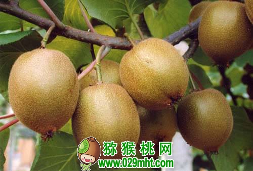 PG国际官方网站图片