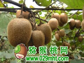 PG国际官方网站图片