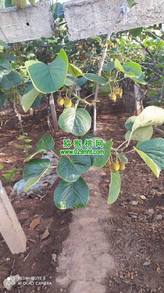 PG国际 b2f4f