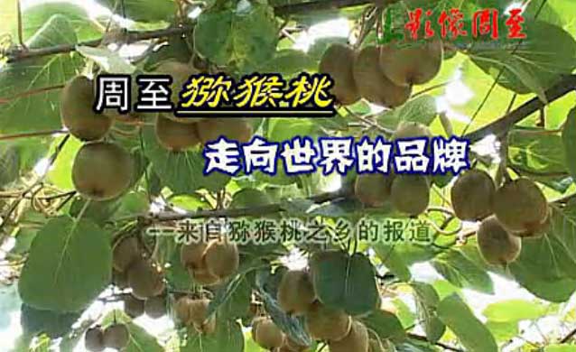 PG国际官方网站图片