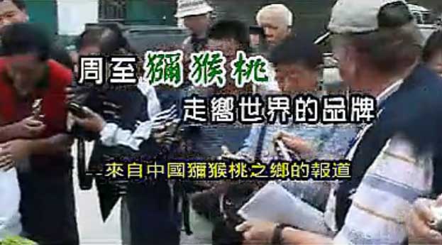 PG国际官方网站图片
