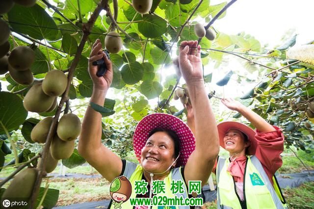 PG国际官方网站图片