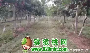 PG国际官方网站图片