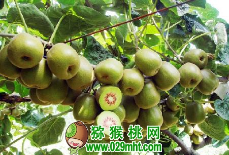 PG国际官方网站图片