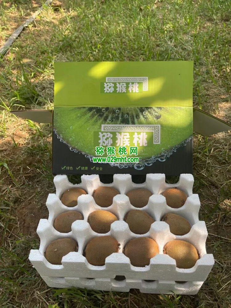 PG国际 6607b