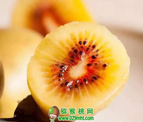 <a href=http://www.summer2018.cn/mht/hongxin/ target=_blank class=infotextkey />红心PG国际猕猴桃</a>