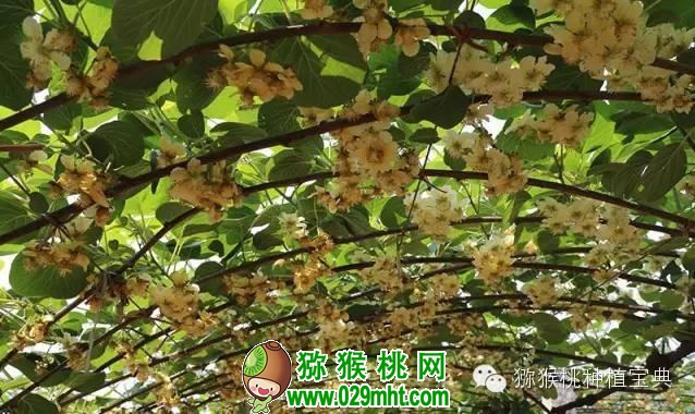 PG国际官方网站图片