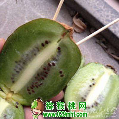 用牙签催熟<a href=http://www.summer2018.cn target=_blank class=infotextkey>奇异果</a> 用牙签催熟<a href=http://www.summer2018.cn target=_blank class=infotextkey />奇异果</a>