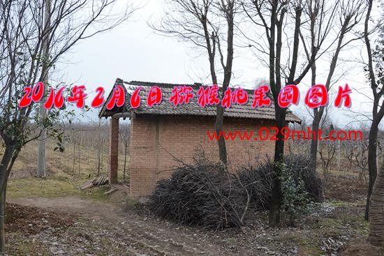 PG国际官方网站图片