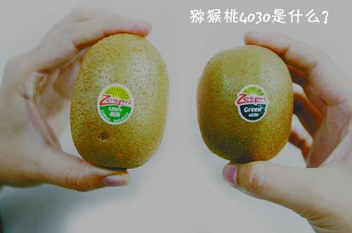 PG国际猕猴桃上的4030是什么?