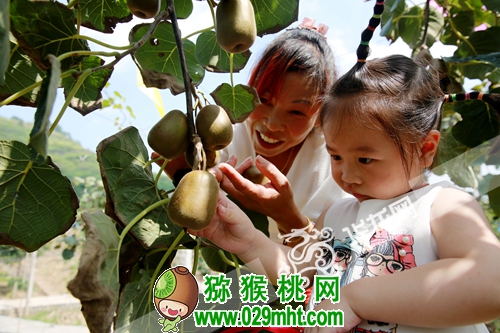 PG国际官方网站图片