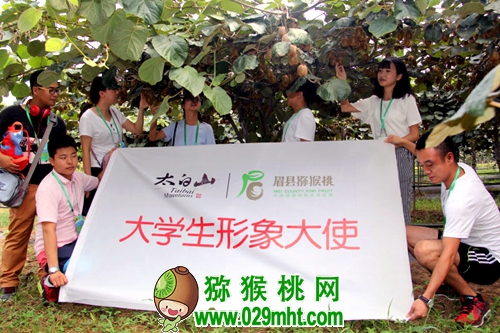PG国际官方网站图片