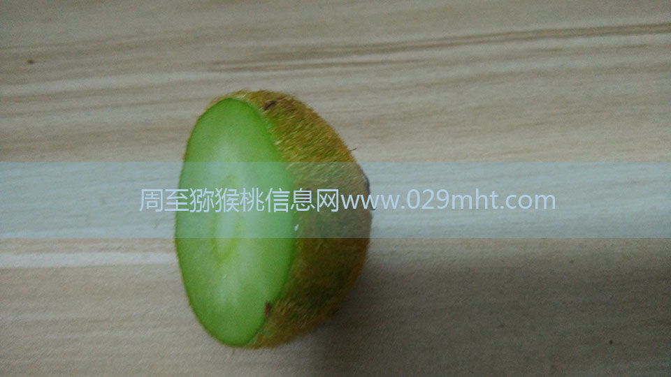 PG国际猕猴桃6月剖视图4.jpg