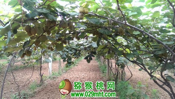 PG国际 28ea2