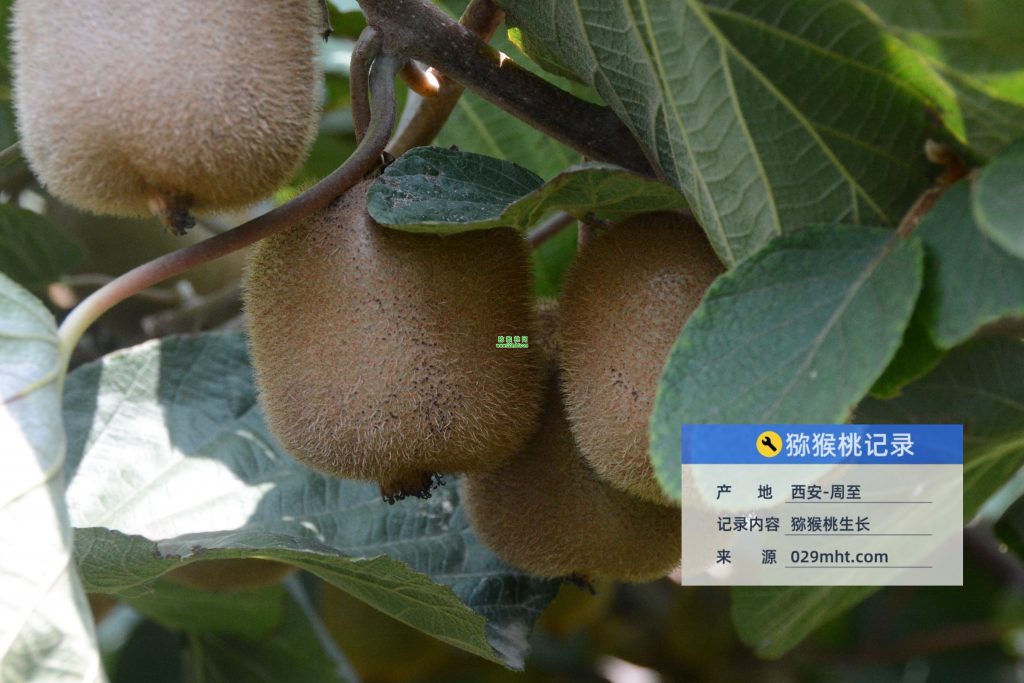 PG国际官方网站图片