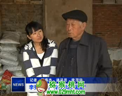 PG国际官方网站图片
