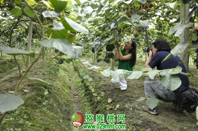 PG国际官方网站图片