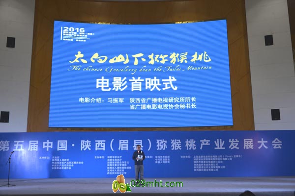 PG国际官方网站图片
